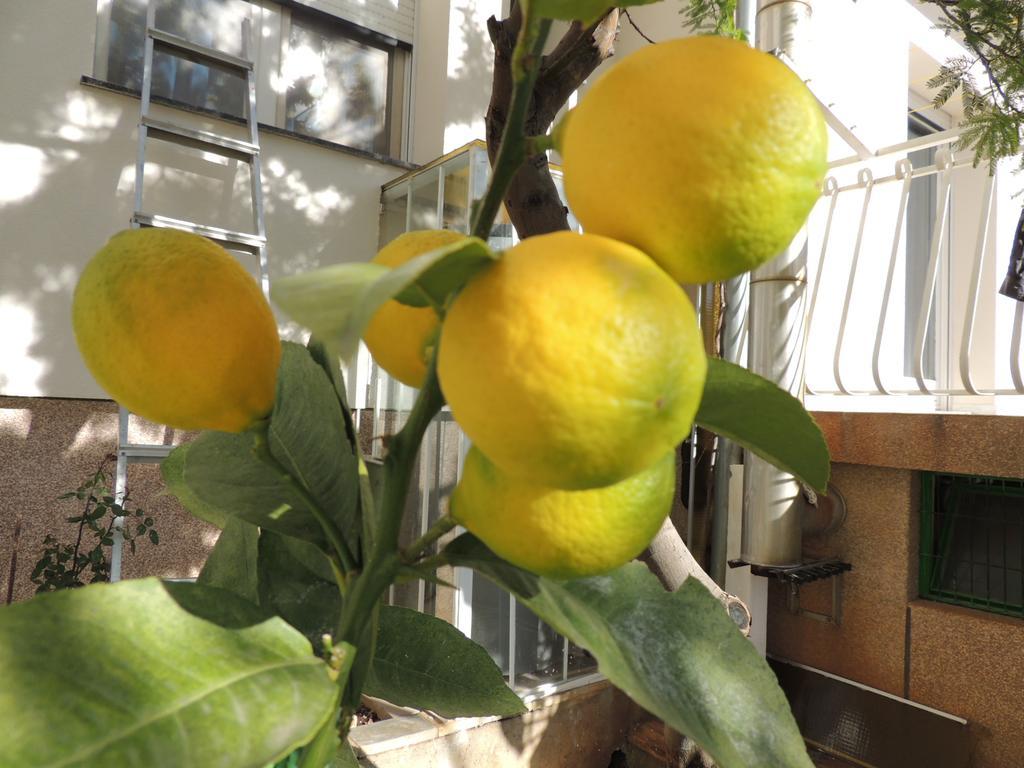Apartment Ordan 503 布罗达里卡 外观 照片