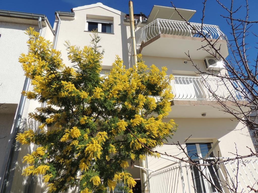 Apartment Ordan 503 布罗达里卡 外观 照片